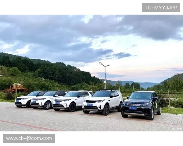 深入解析足球热身训练中常见错误动作及科学预防与改进策略要点